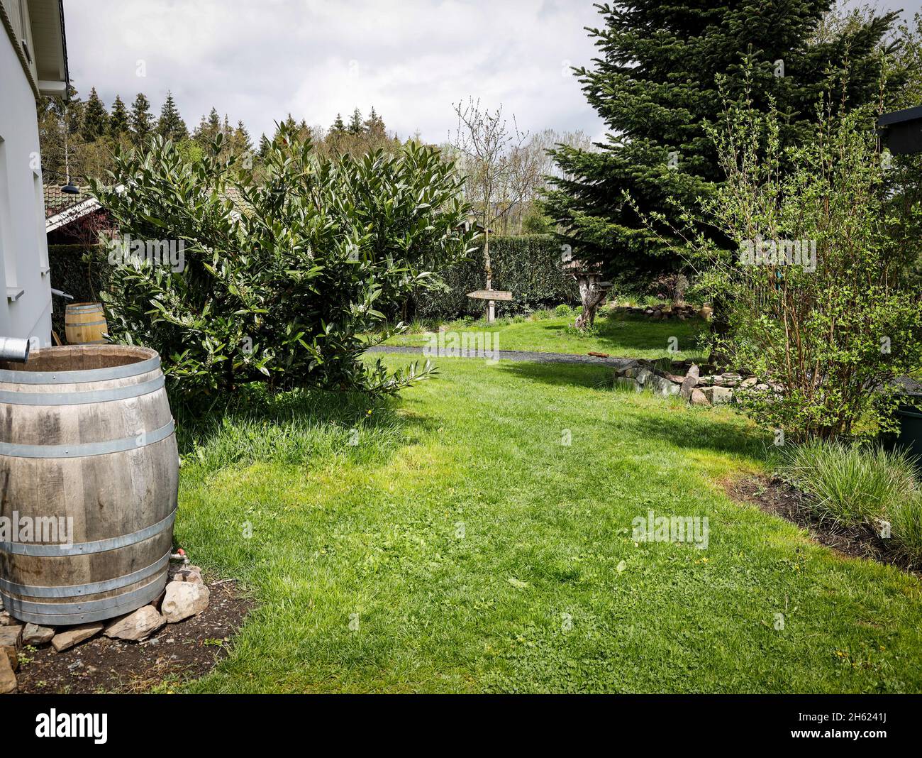 garden with bushes,trees and oak rain barrel Stock Photo