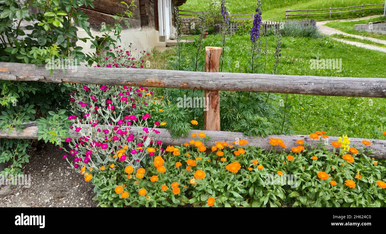 flowers in front of the wooden fence next to a mountain farm in the brixlegg region,tyrol Stock Photo