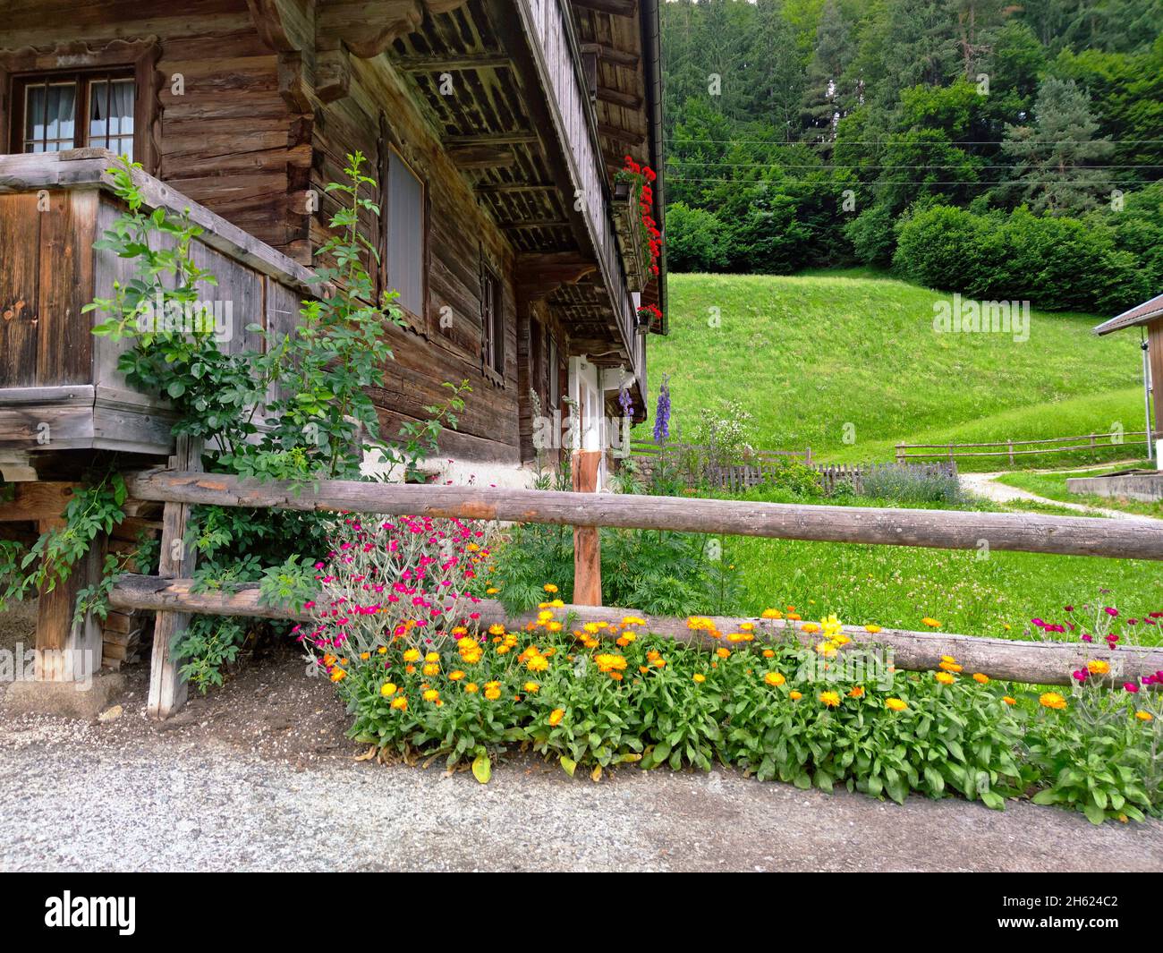 flowers in front of the wooden fence next to a mountain farm in the brixlegg region,tyrol Stock Photo