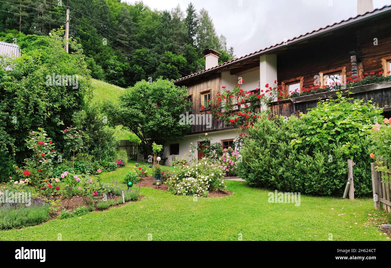 rose garden at a mountain farm in the zimmermoos district in the brixlegg region,tyrol Stock Photo