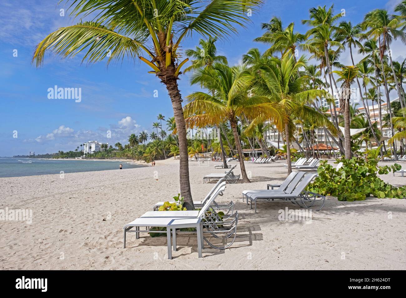 Empty lounge chairs on Playa Hemingway beach near Juan Dolio, San Pedro