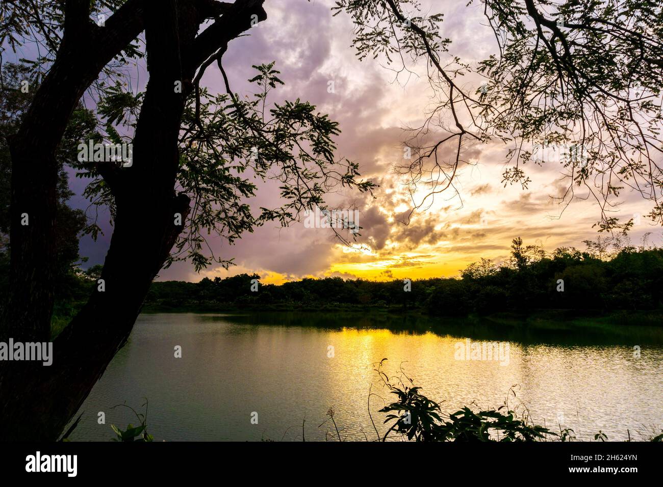 View of Colorful dramatic sky sunset or sunrise with clouds background on Water River in Forest, Sky with cloud in nature and travel concept. Stock Photo