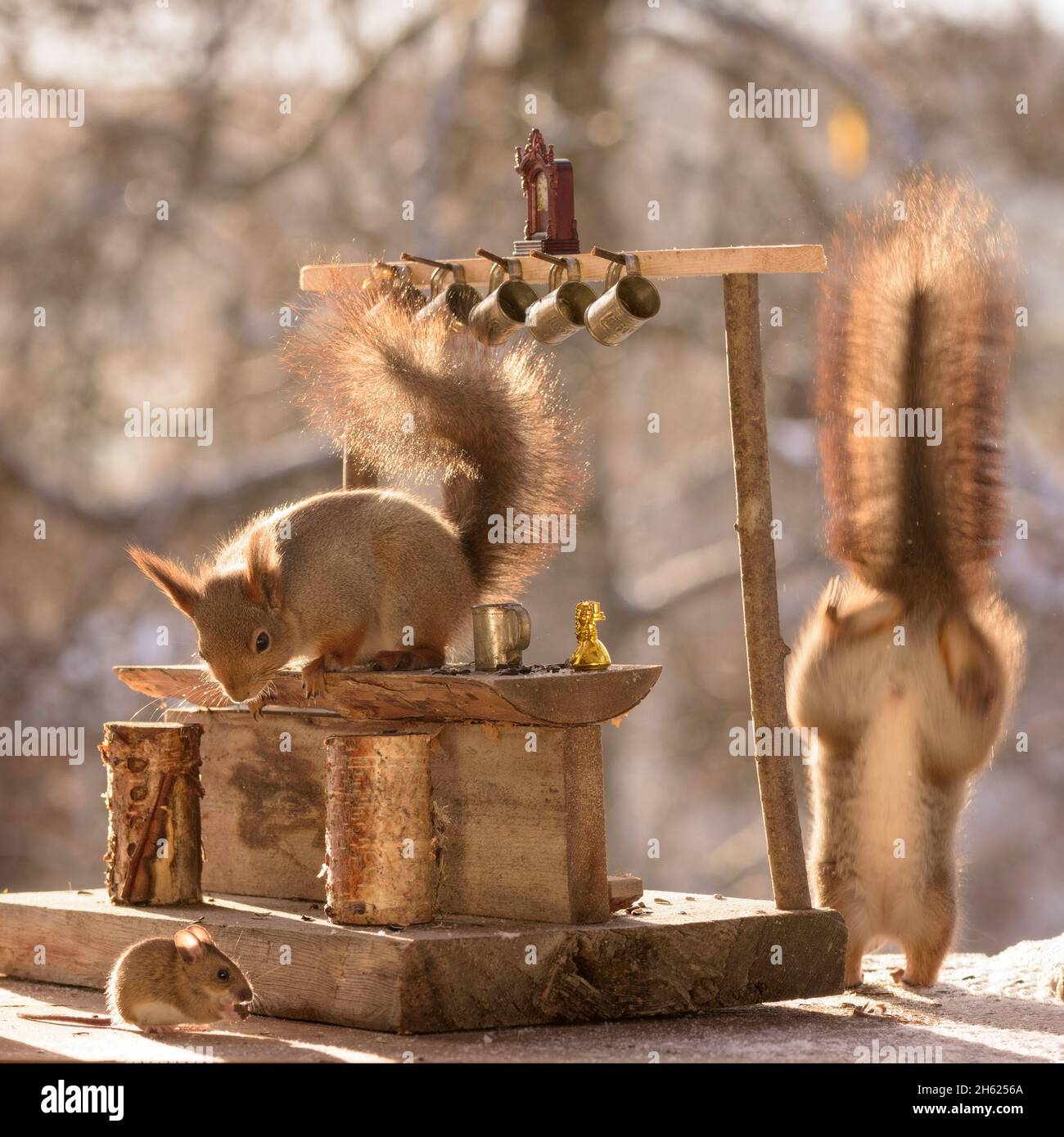 With a mouse hi-res stock photography and images - Alamy