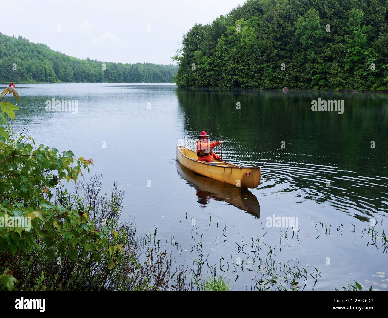 camping in canada,ontario,kawartha highlands provincial park,canoe portage,man paddling a canoe Stock Photo