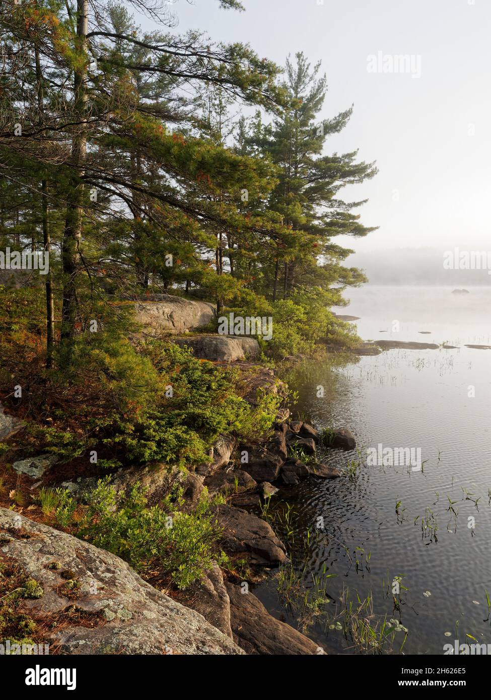 camping in canada,ontario,kawartha highlands provincial park,nature