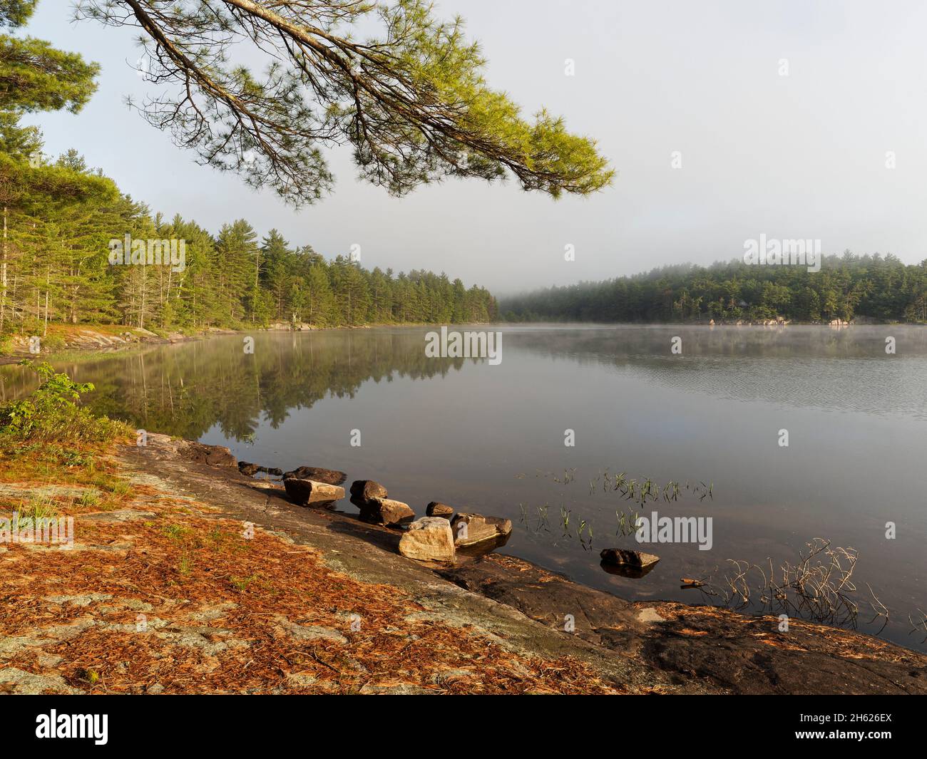 camping in canada,ontario,kawartha highlands provincial park,nature,wilderness,lake,forest,morning mist,natural,scenery,tranquility Stock Photo