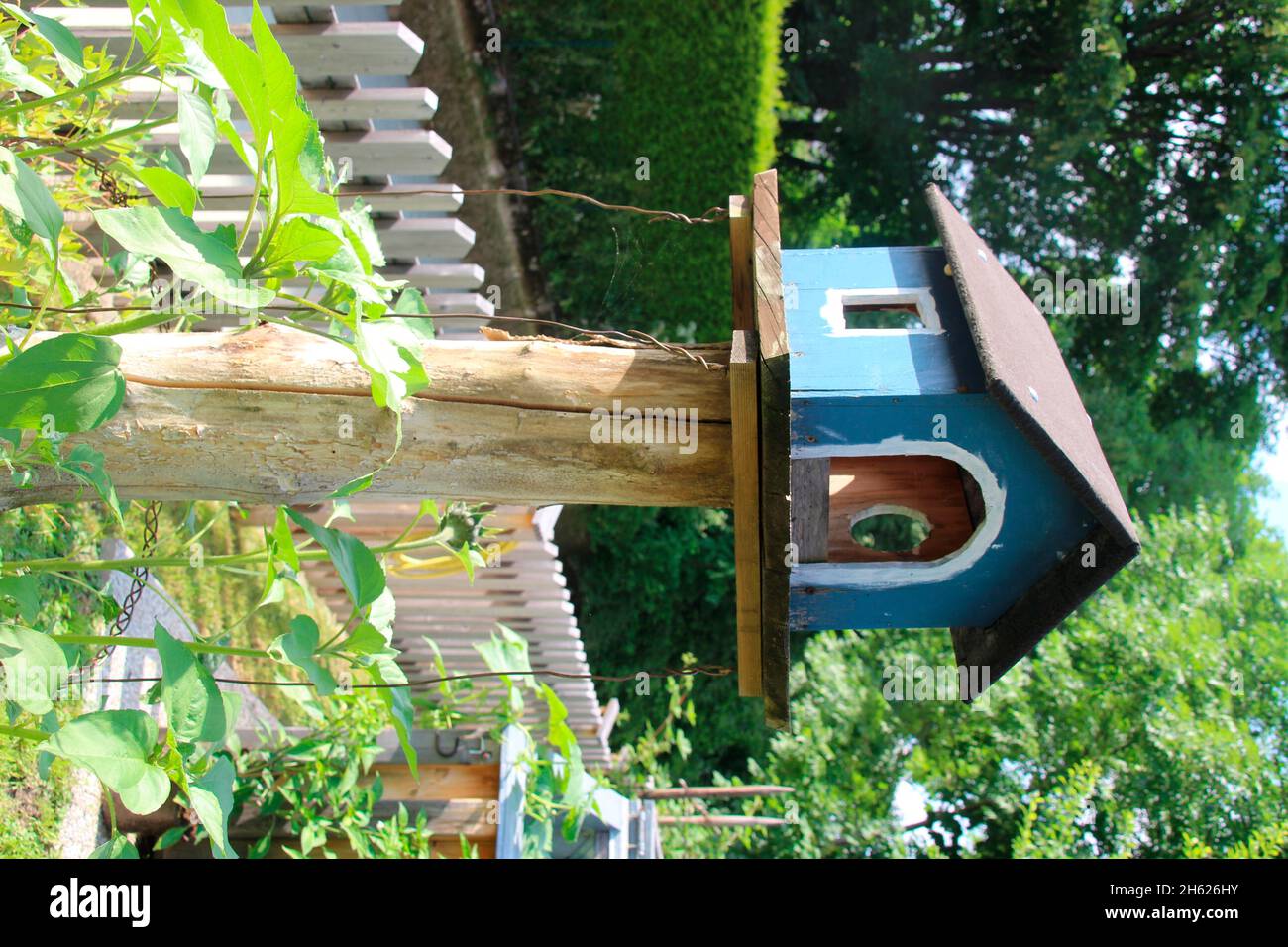 idyllic garden with bird feeder,germany,bavaria,upper bavaria Stock Photo