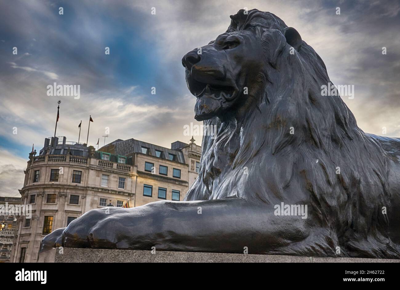 lion statues trafalgar square Stock Photo Alamy