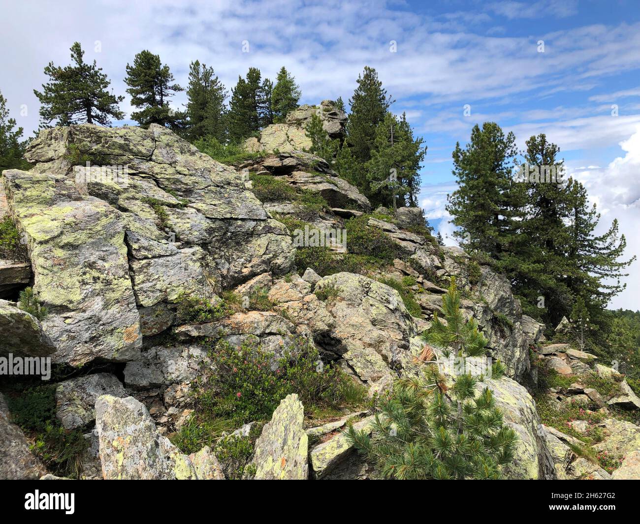 rock and tree landscape on the zirbenweg,patscherkofel,glungezer,innsbruck,tulfes,tyrol,austria Stock Photo