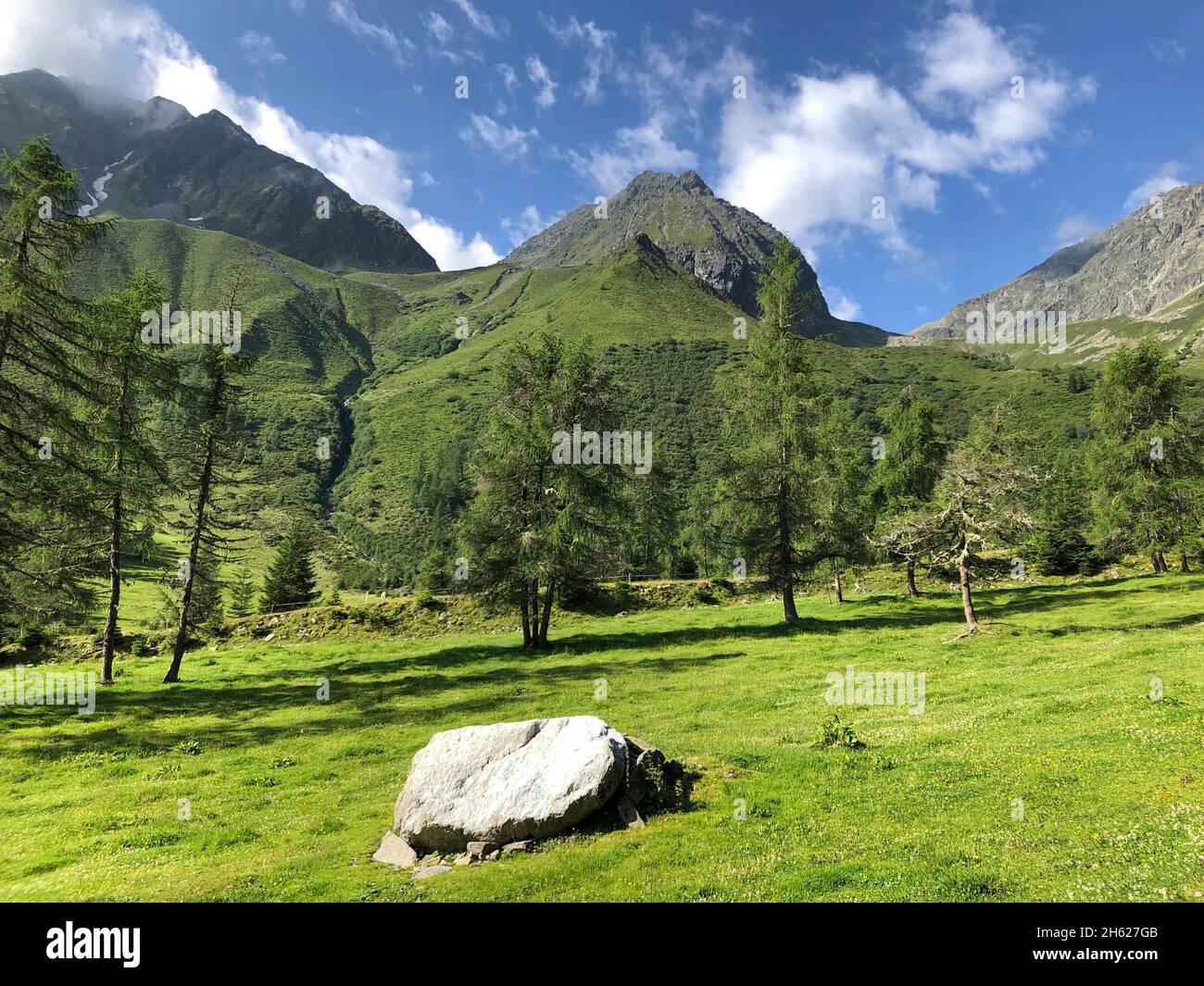 landscape at the inzinger alm,mitterkogel,rosskogel,stubai alps,meadows,mountains,nature,inzing,tyrol,austria Stock Photo