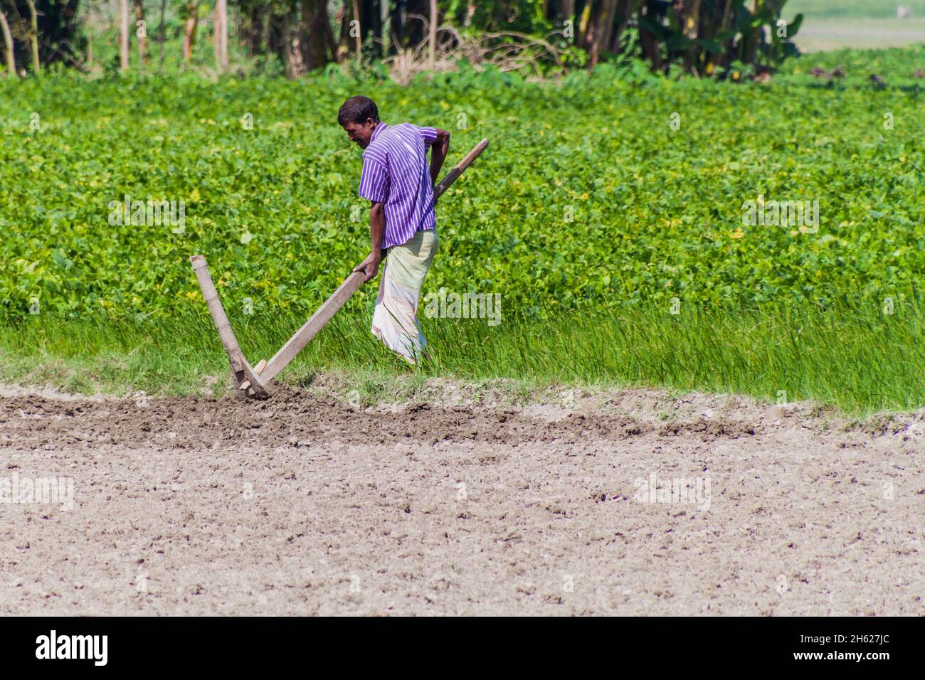 Bengali island hires stock photography and images Alamy