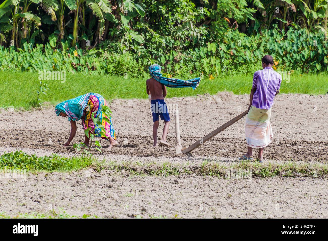 JAMUNA, BANGLADESH - NOVEMBER 7, 2016: Peasant family on a char sandbank island in Jamuna river near Bogra, Bangladesh. Stock Photo