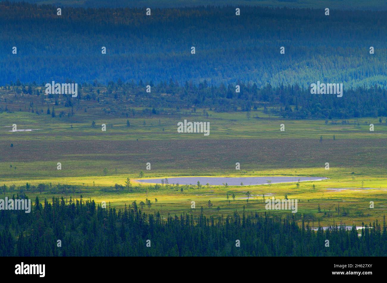 europe,sweden,dalarna,älvdalen,idre,städjan-nipfjället nature reserve,light mood over moorland Stock Photo