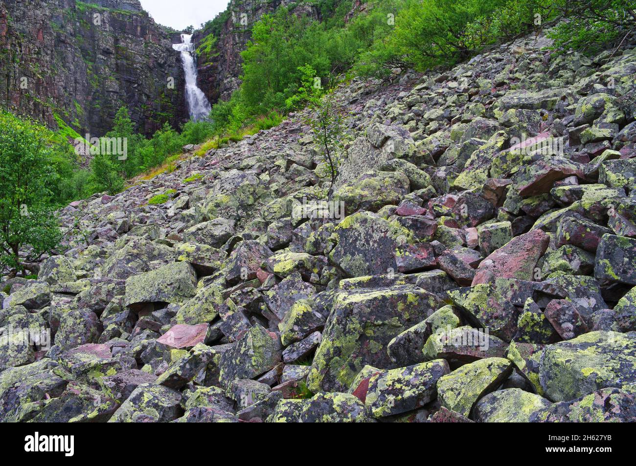 europe,sweden,dalarna,fulufjäll national park,njupeskär waterfall Stock  Photo - Alamy