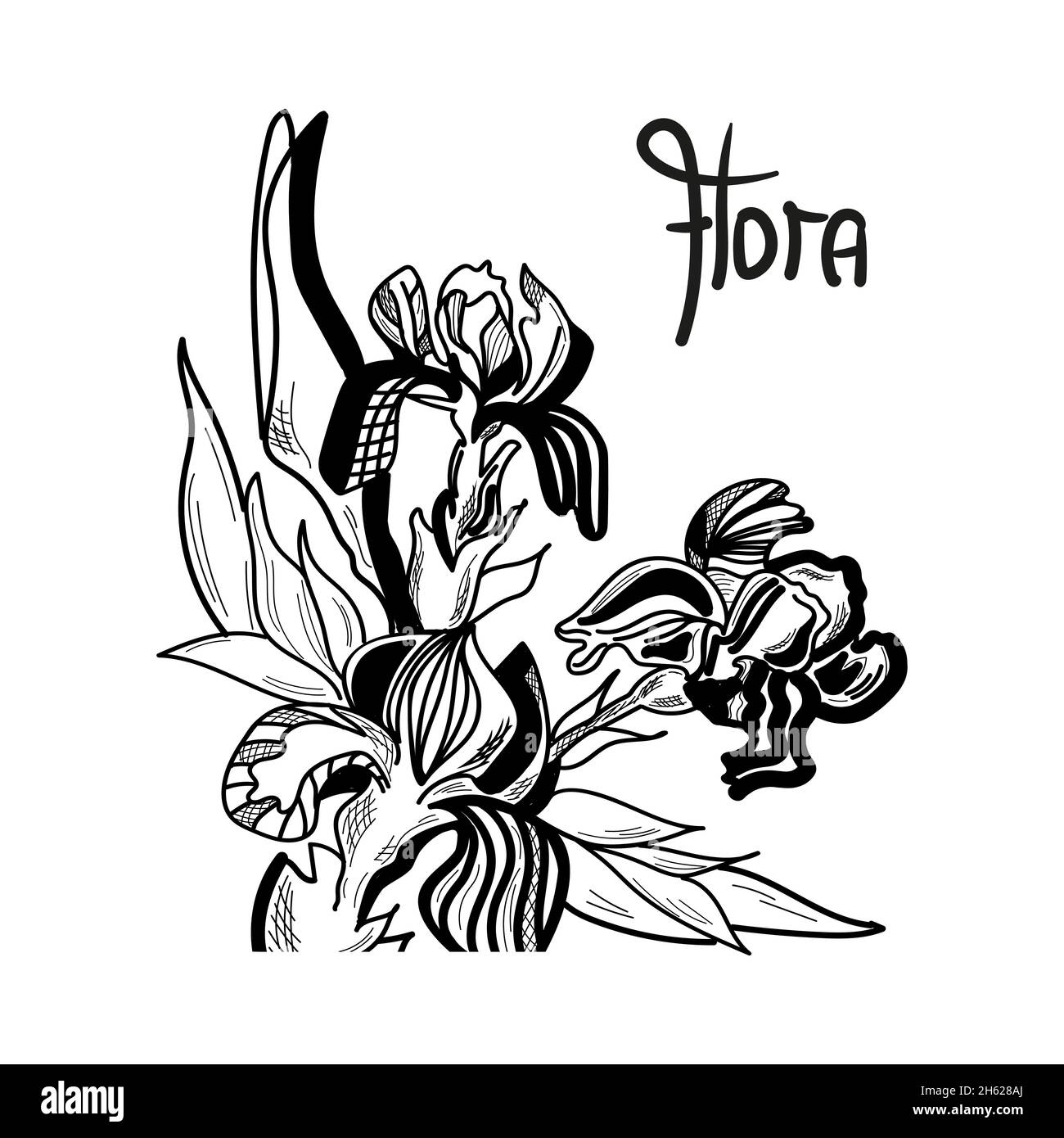 Iris flowers are drawn graphically with lettering Flora. Stock Vector