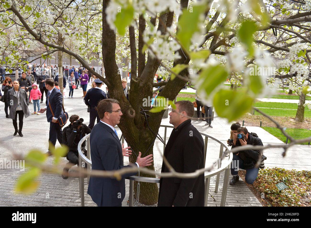 The Survivor Tree Blooms at Ground Zero