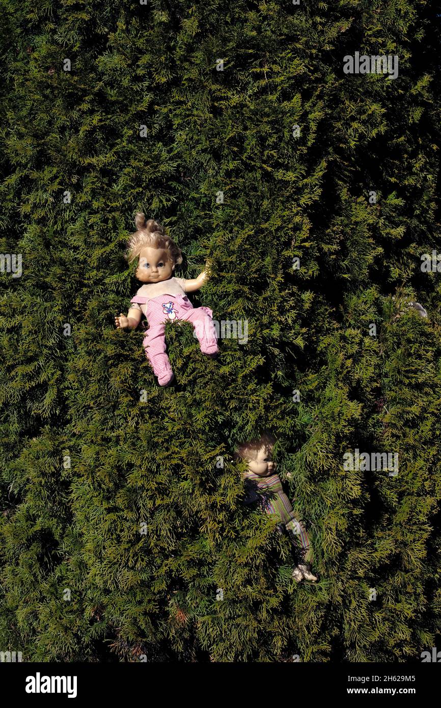 dolls on a tree Stock Photo