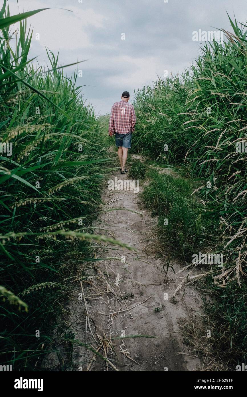 man in the reeds Stock Photo