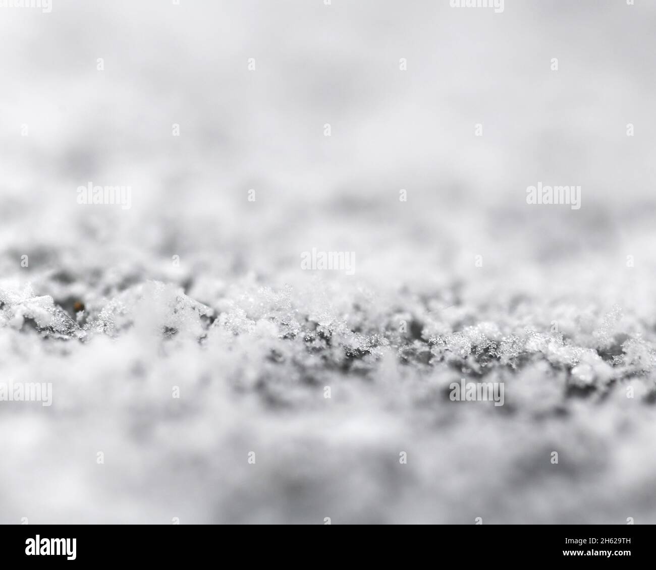 snow,close-up,blur Stock Photo