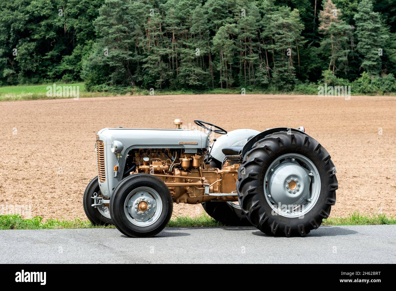breuberg,hessen,germany,massey-ferguson fe 35 tractor,displacement 2550 ccm,35 hp,built in 1960 Stock Photo