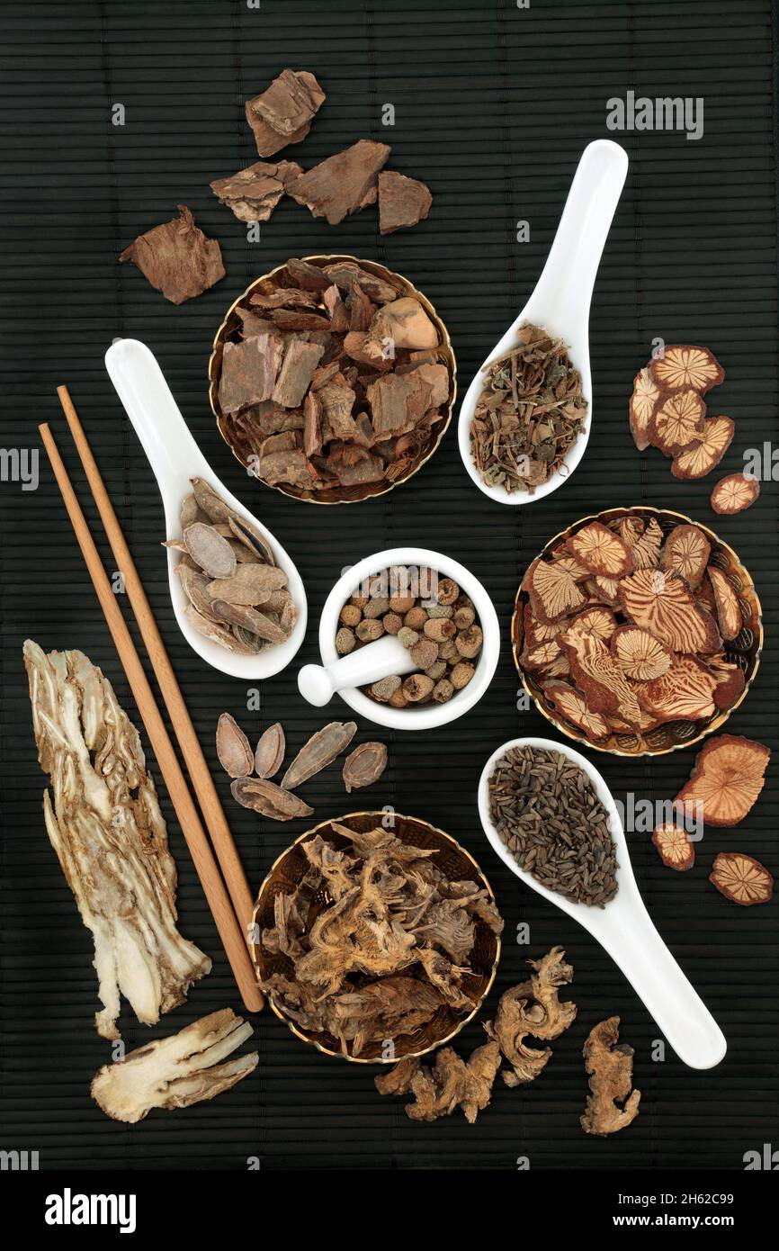 Chinese plant based herbs and spice for natural health care. Alternative herbal medicine concept. Top view on bamboo background. Stock Photo