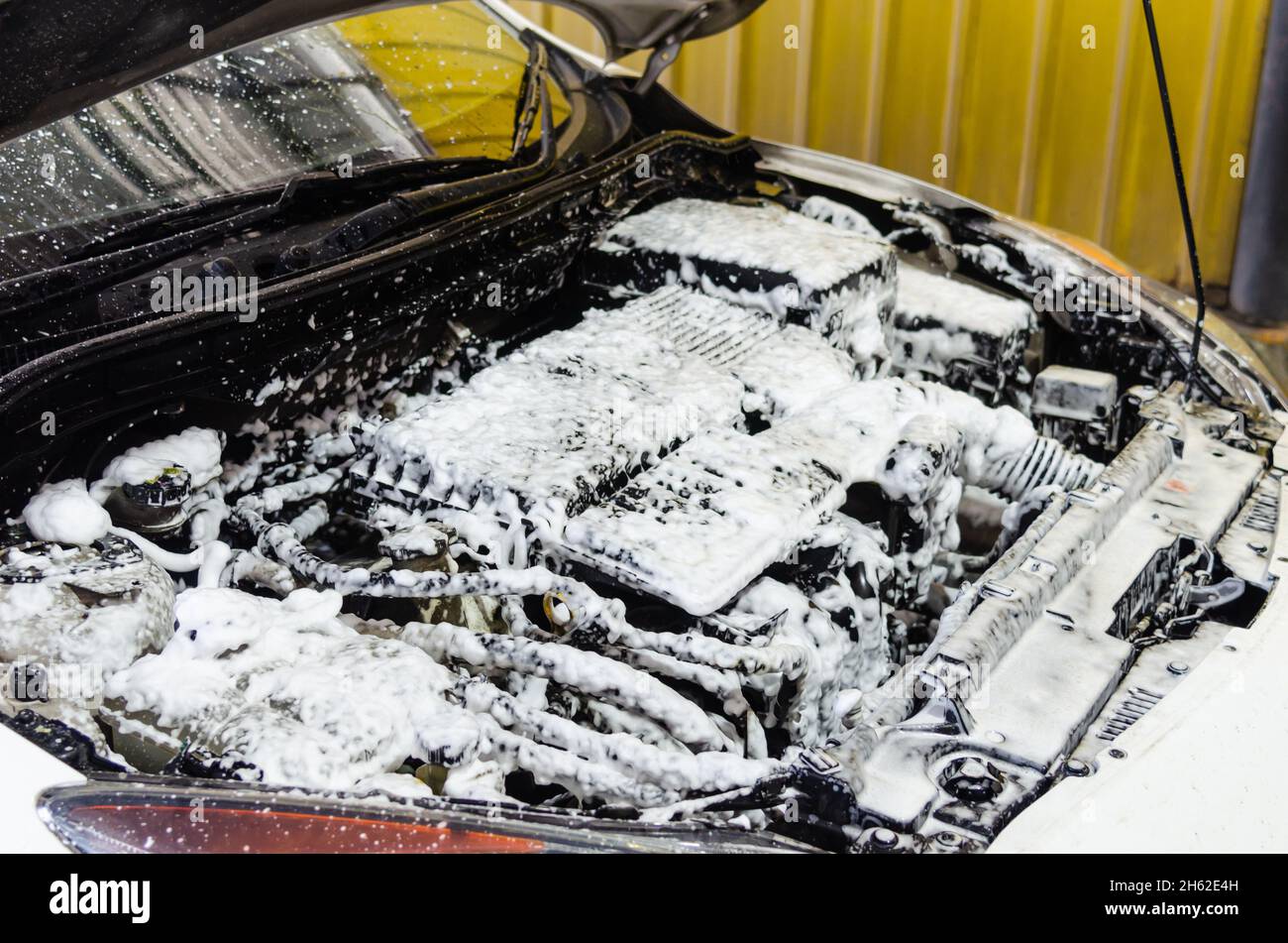 Wash the car engine with foam, car wash foam Stock Photo Alamy