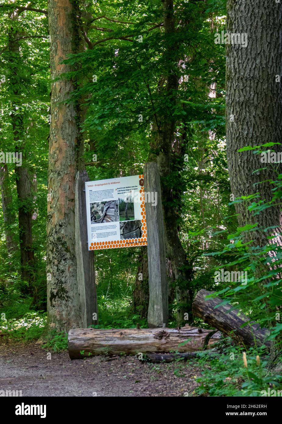 information board,breeding opportunity for wild bees,on illertisser bienenweg. the path begins at the bavarian bee museum in the vöhlin castle. the 8.3 km circular route can be shortened to 3.2 km by leaving out four of the seventeen information boards. Stock Photo