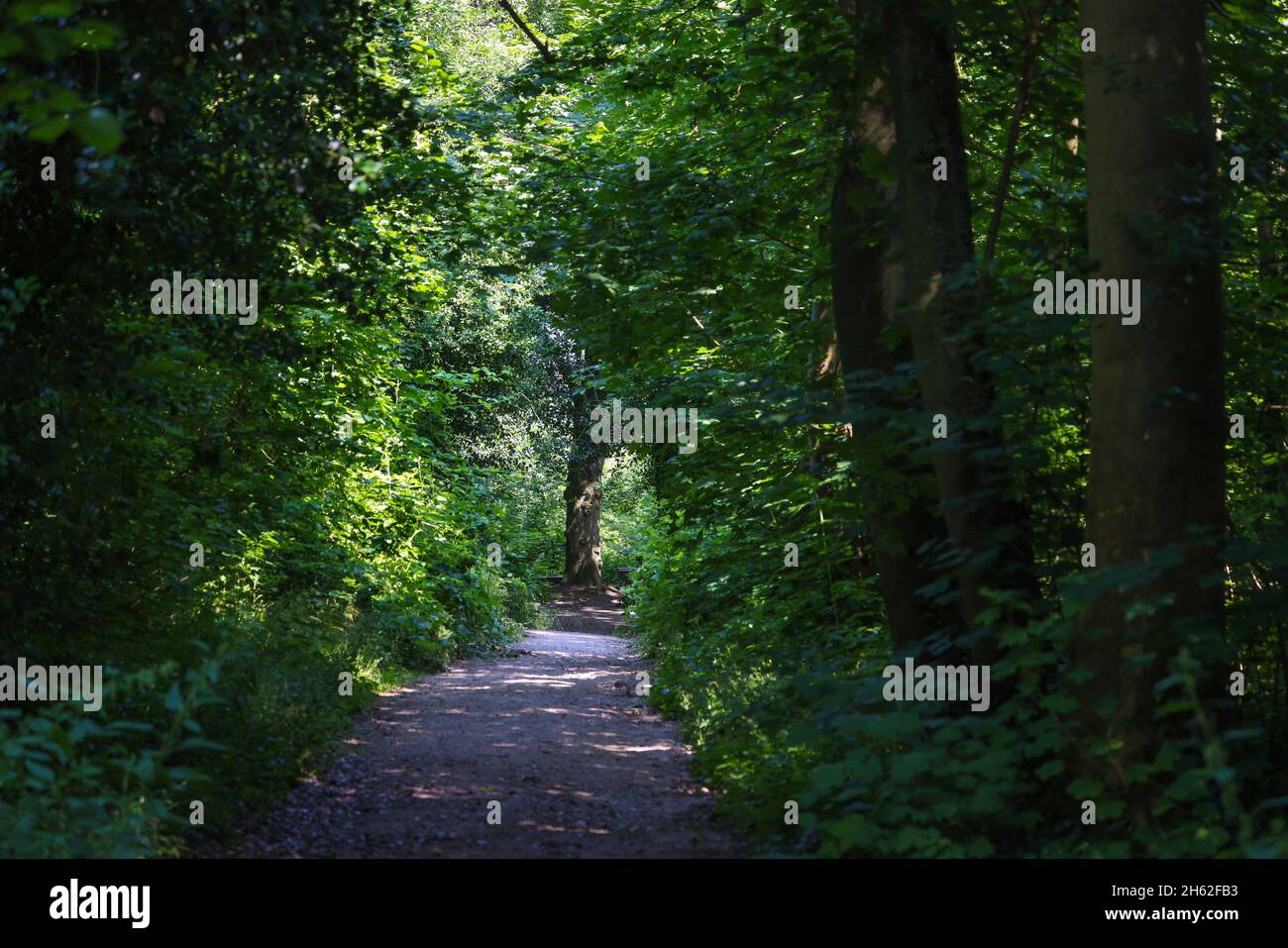 Also gethmanns garten in the blankenstein district enchanted hires
