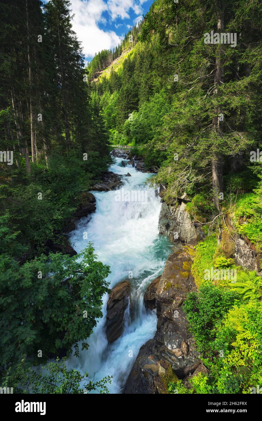 mountain river framed by green forest. wild water path in the stubai valley. stubai alps,tyrol,austria,europe Stock Photo