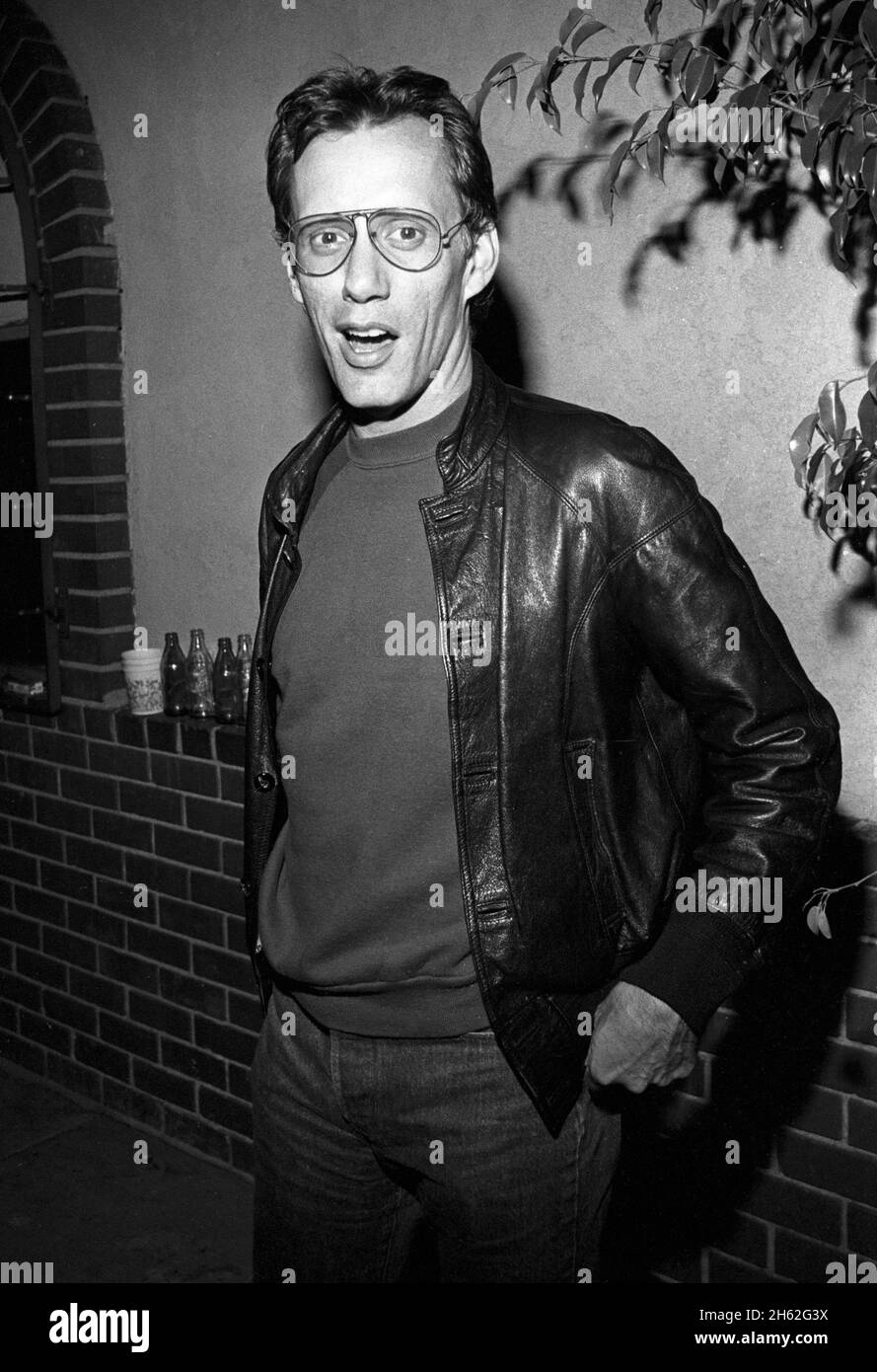 James Woods Circa 1980's Credit Ralph Dominguez/MediaPunch Stock Photo