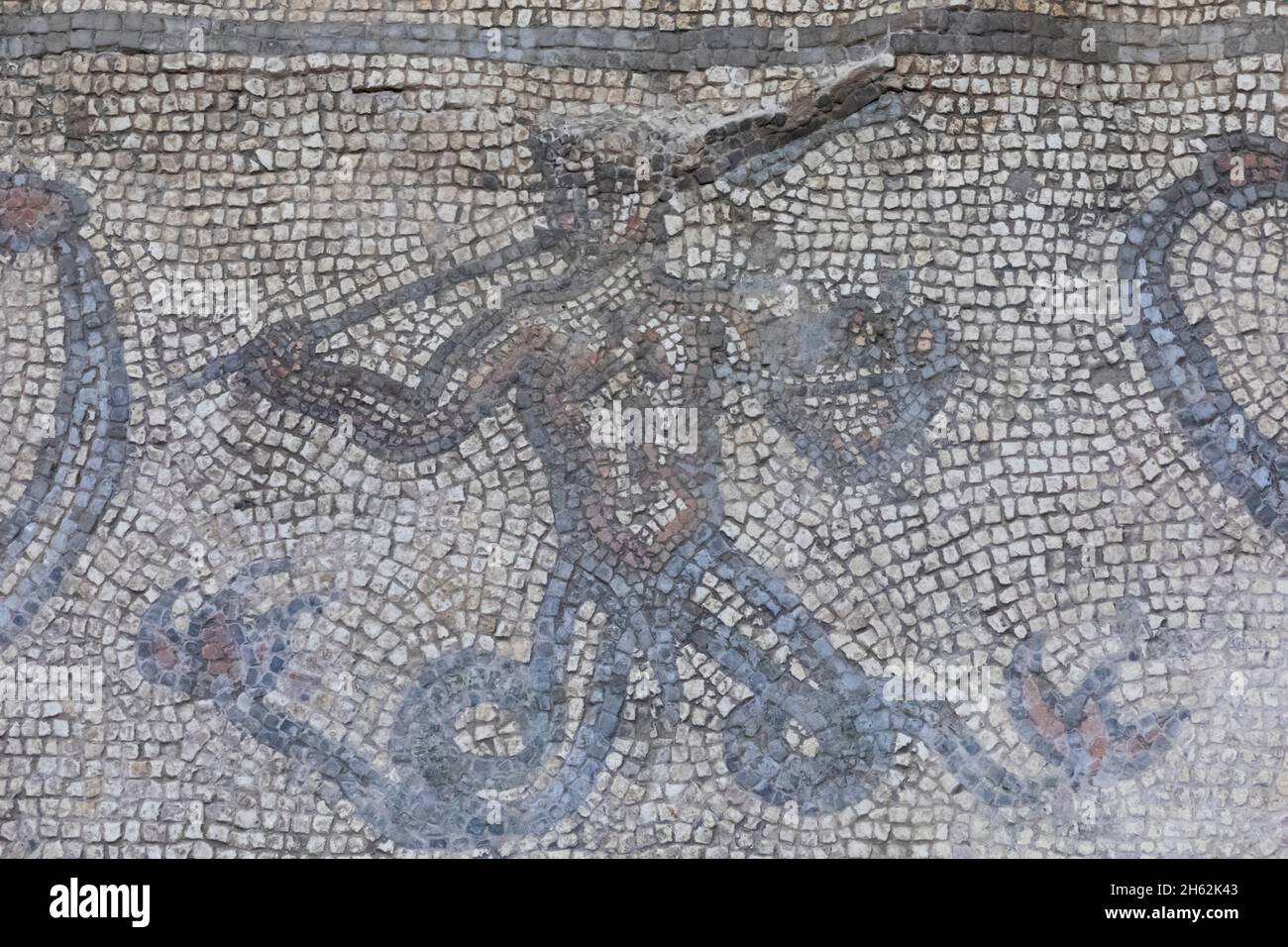 england,isle of wight,brading roman villa,mosaic depicting a merman Stock Photo