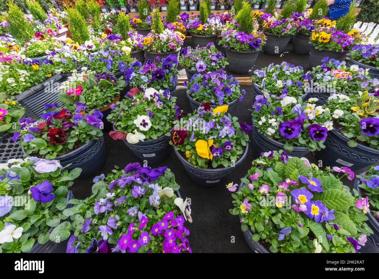 Potted plants display hi-res stock photography and images - Alamy