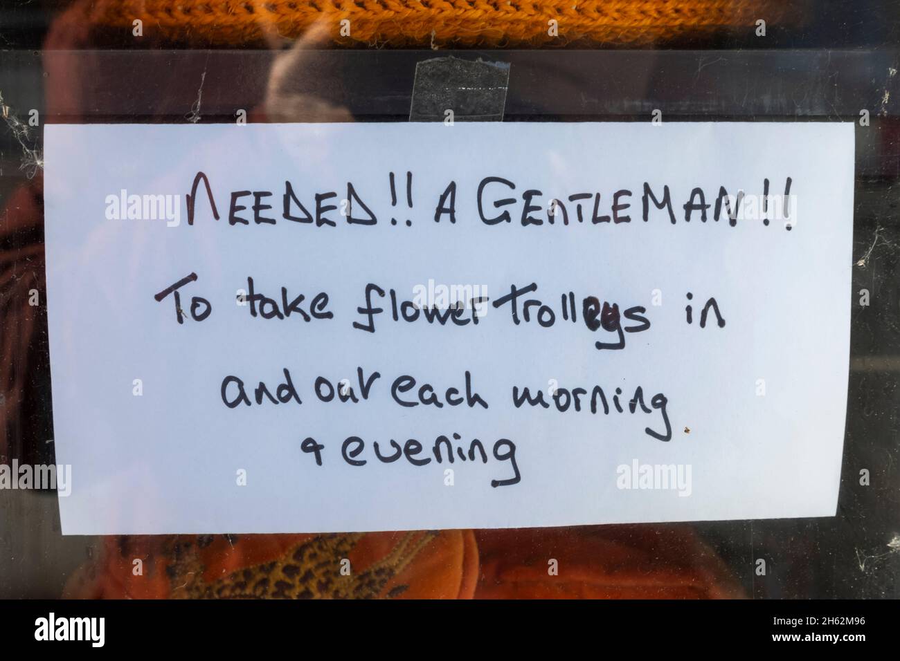 england,hampshire,test valley,stockbridge,amusing shop help wanted sign Stock Photo