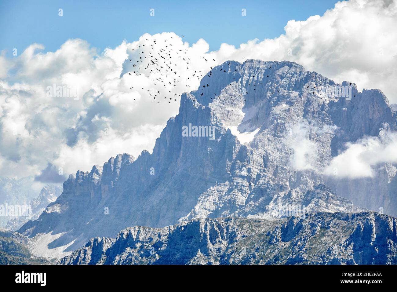 flock of birds flying in front of the the nord west side of mount civetta,dolomites,alleghe,belluno,veneto,italy Stock Photo