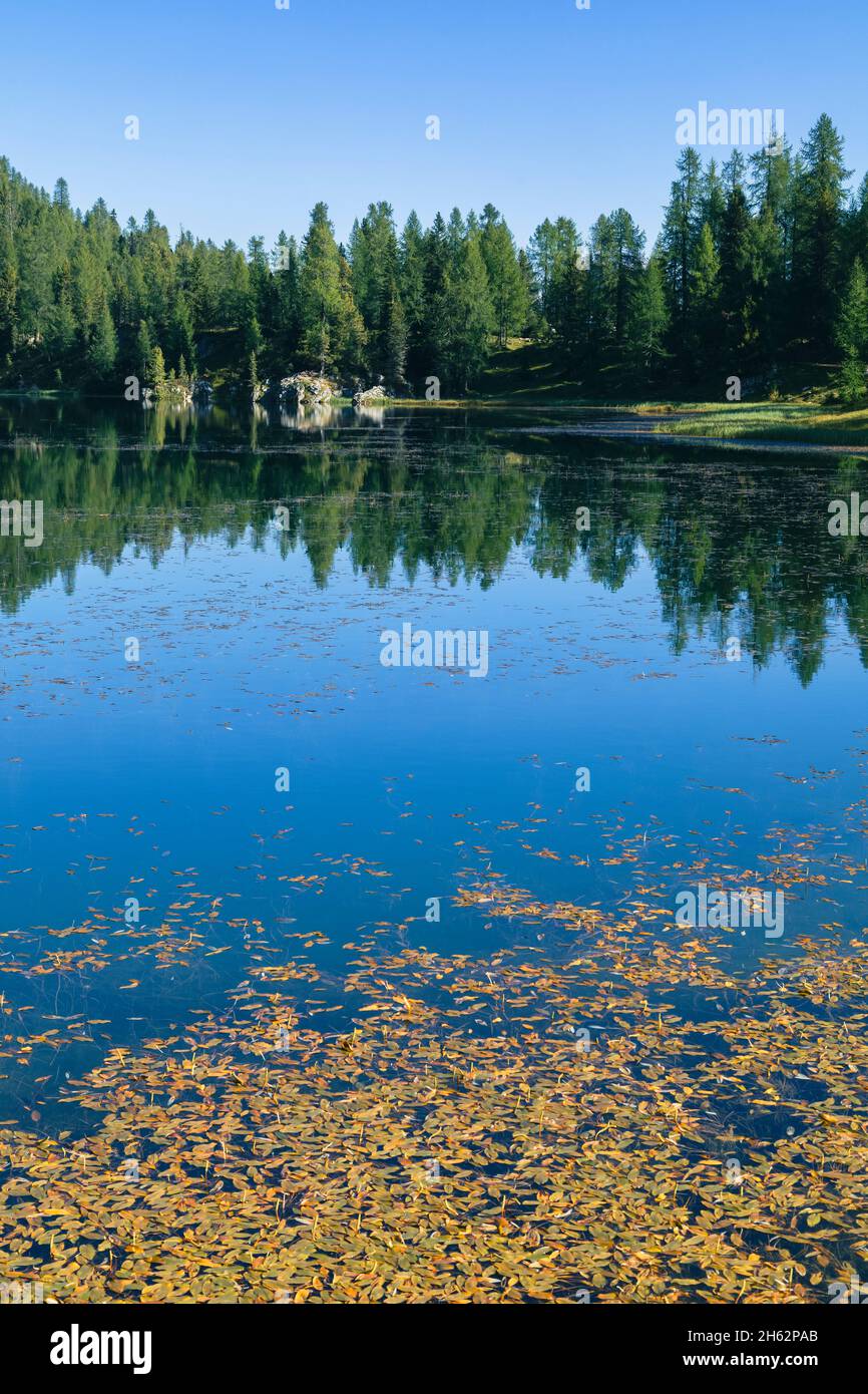 federa alpine lake near croda da lago,detail of reflections in the water,cortina d'ampezzo,belluno,veneto,italy Stock Photo