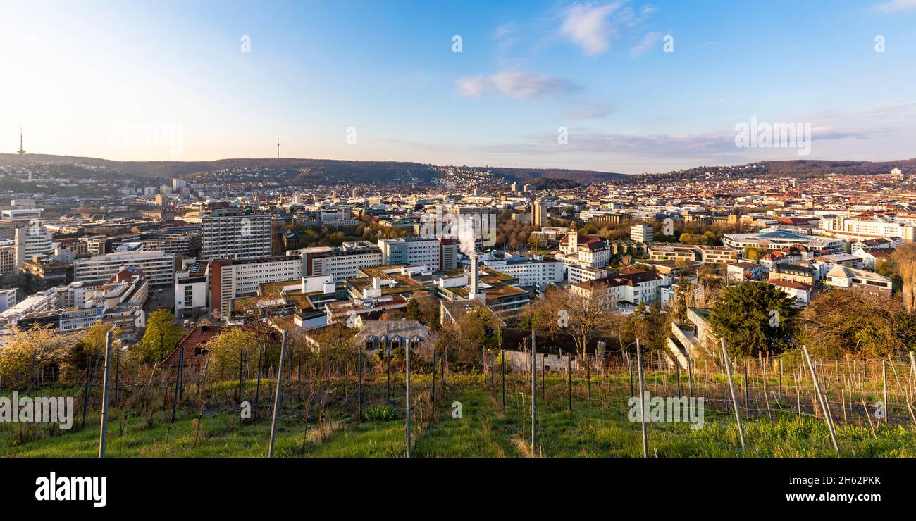 germany,baden-wuerttemberg,stuttgart,view from eduard-pfeiffer-str. over city center,town center,city view Stock Photo