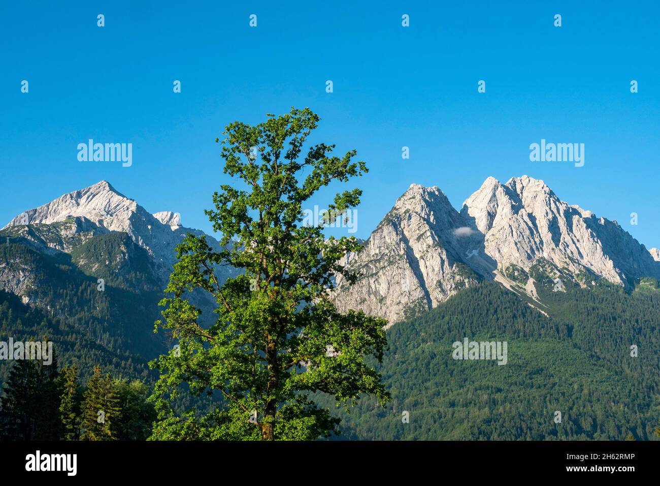 alpine seats,zugspitze group,wetterstein mountains,grainau,werdenfelser land,upper bavaria,bavaria,germany Stock Photo