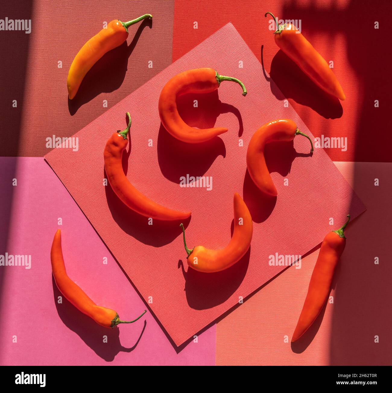 Flat lay Red fresh hot chili peppers with shadows on paper background