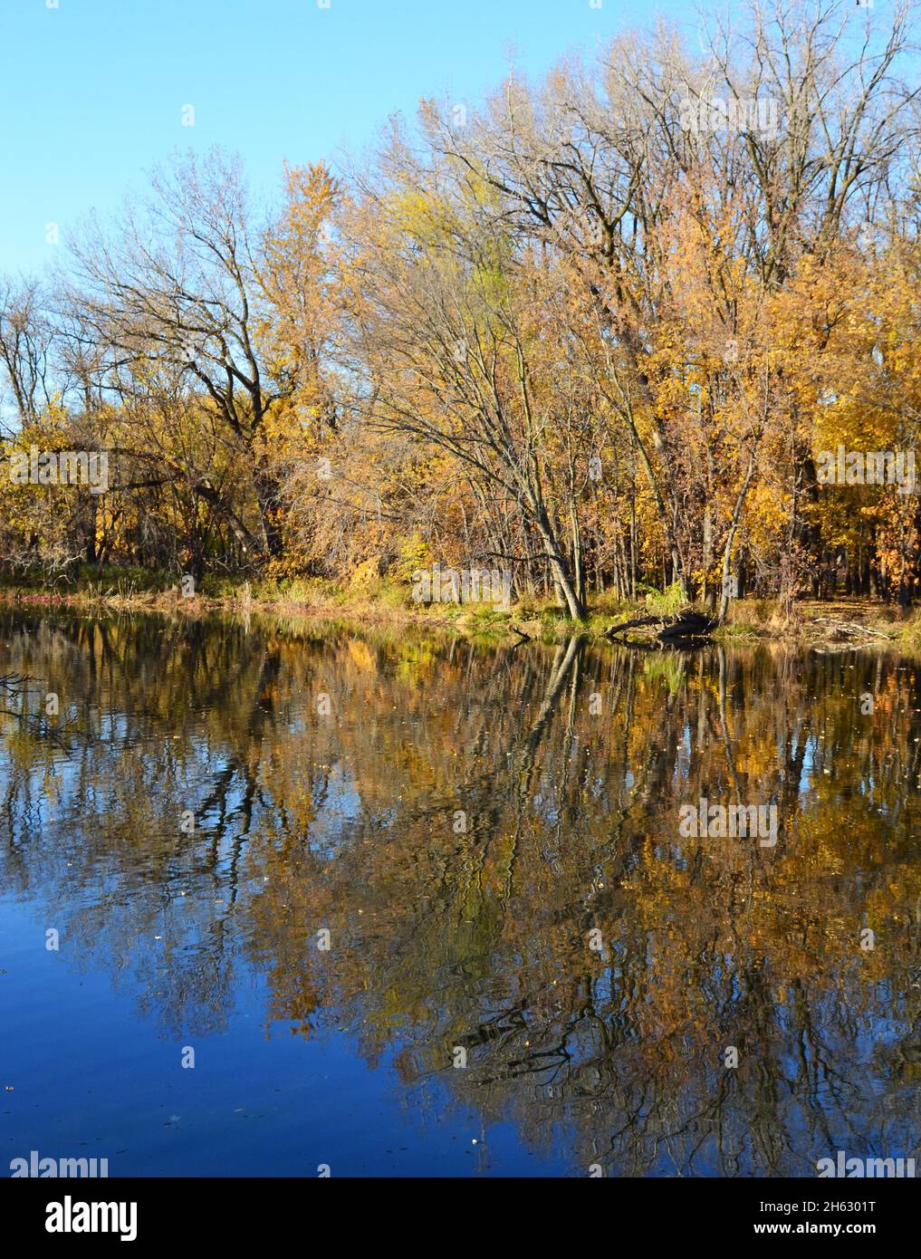 Colorful autumn landscape with a lake Stock Photo