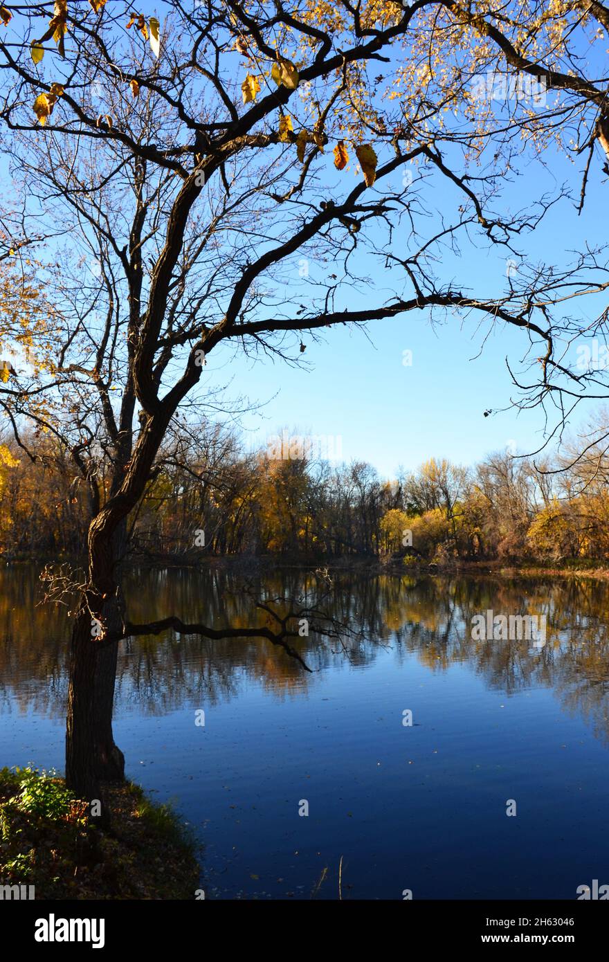 Colorful autumn landscape with a lake Stock Photo