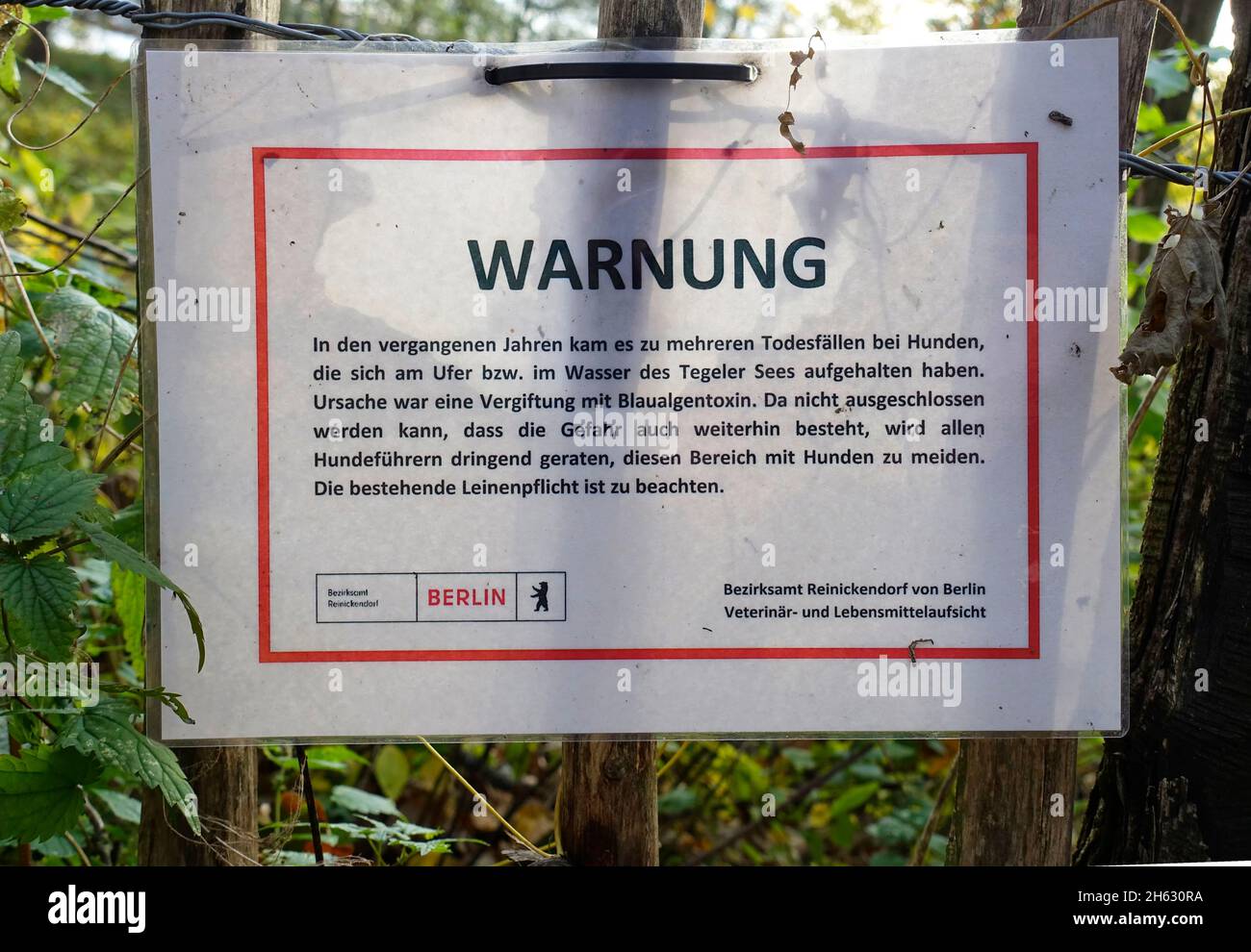 Warning notice, Cyanobacteria, Tegel, Berlin, Germany Stock Photo
