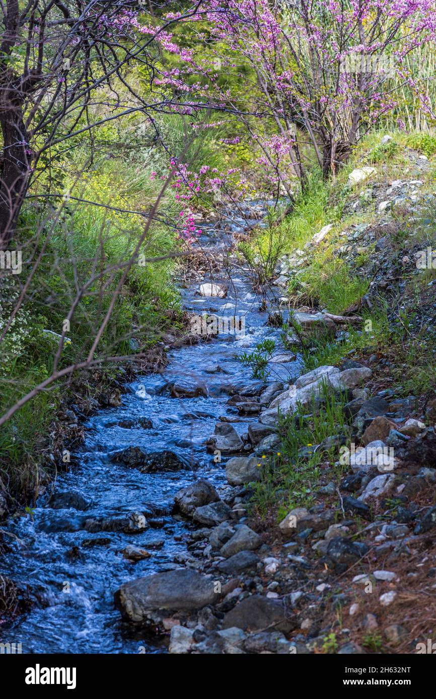 a little river Stock Photo - Alamy