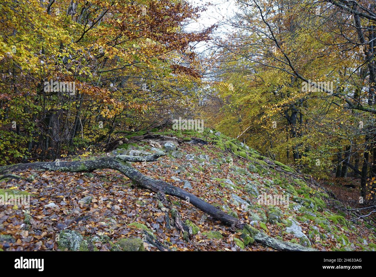 Celtic hi-res stock photography and images - Page 242 - Alamy