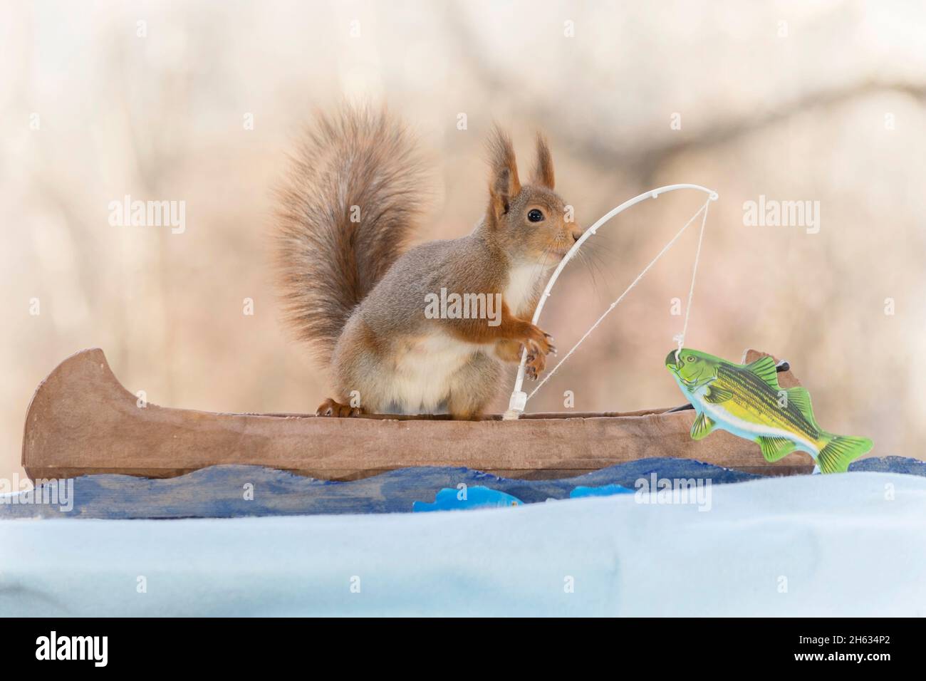 Squirrel Riding A Fish Canoe fishing hi-res stock photography and images - Alamy