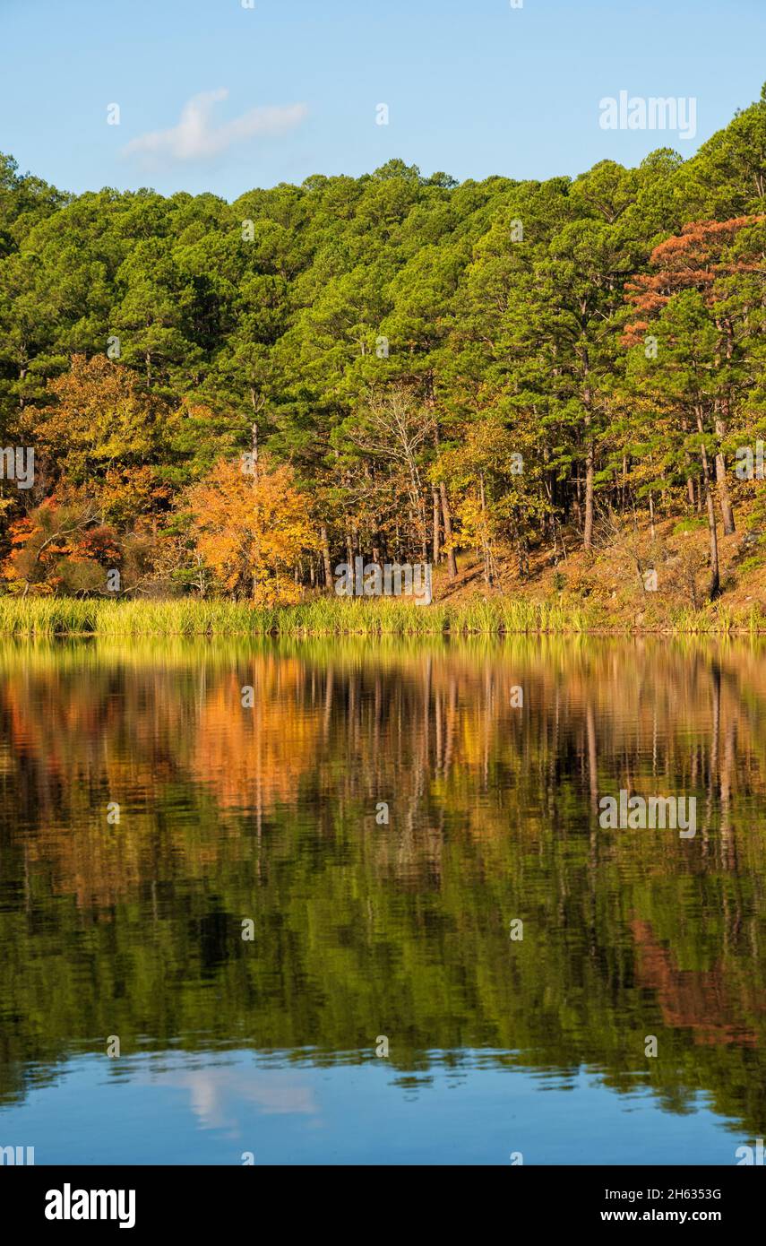 Fall foliage with rippled reflection on Cedar Lake, Oklahoma, on a sunny November morning Stock Photo