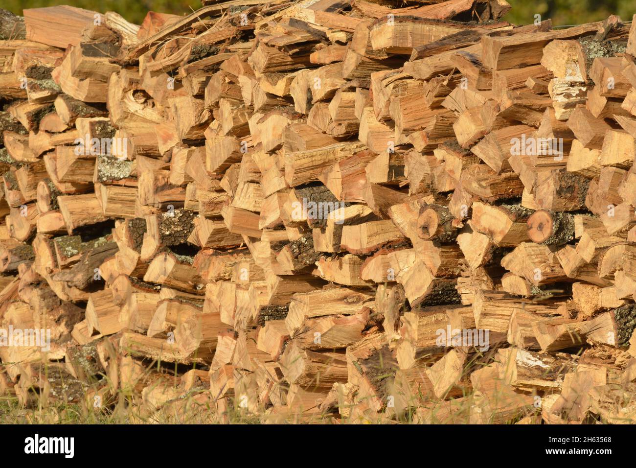 Prime hardwood firewood stacked in a pile Stock Photo