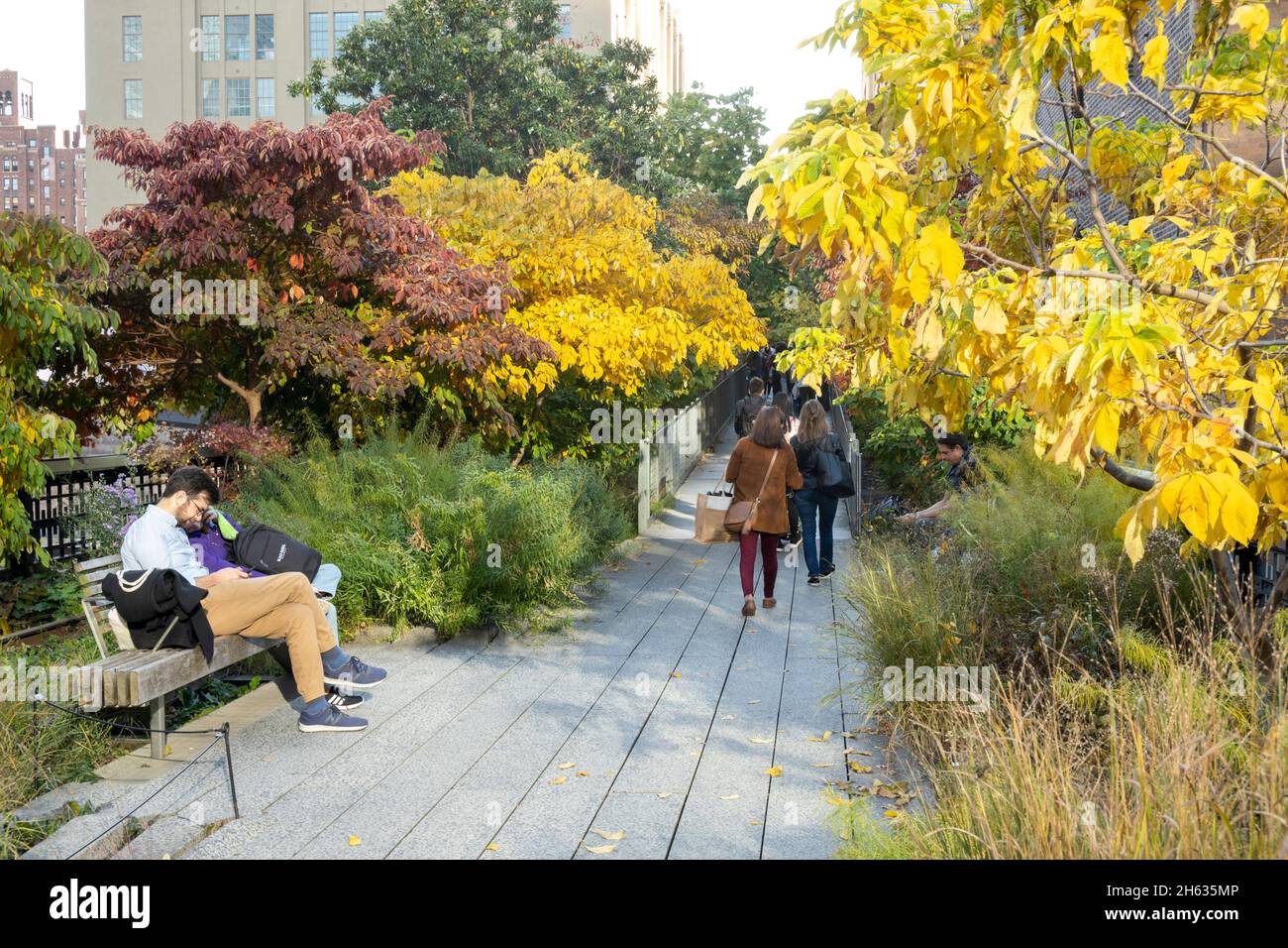High line benches nyc hi-res stock photography and images - Alamy