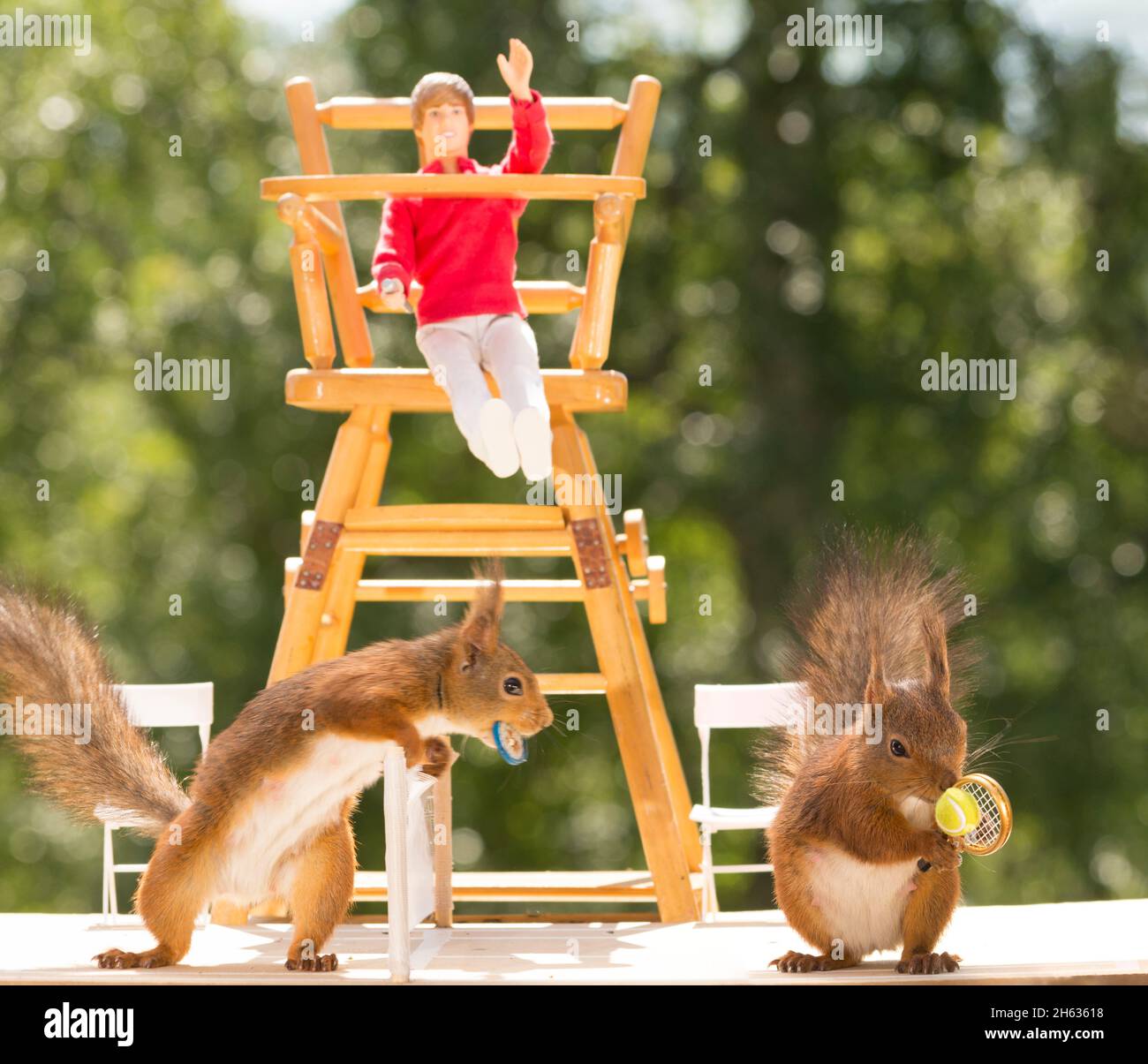 close up of red squirrels on a tennis court with one blurry squirrel