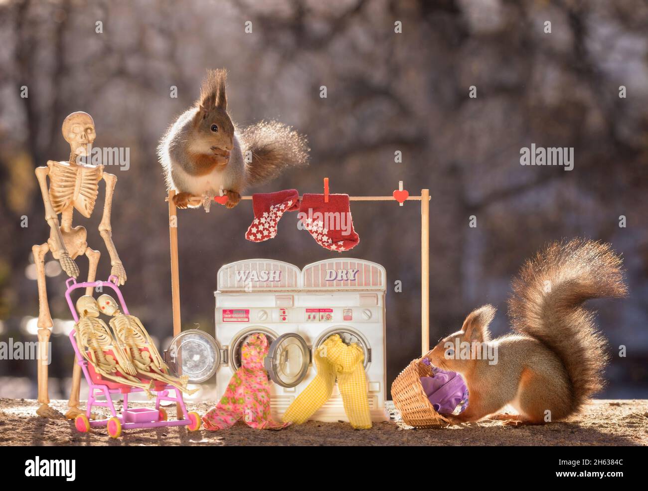 skeleton and red squirrels with an washing machine Stock Photo