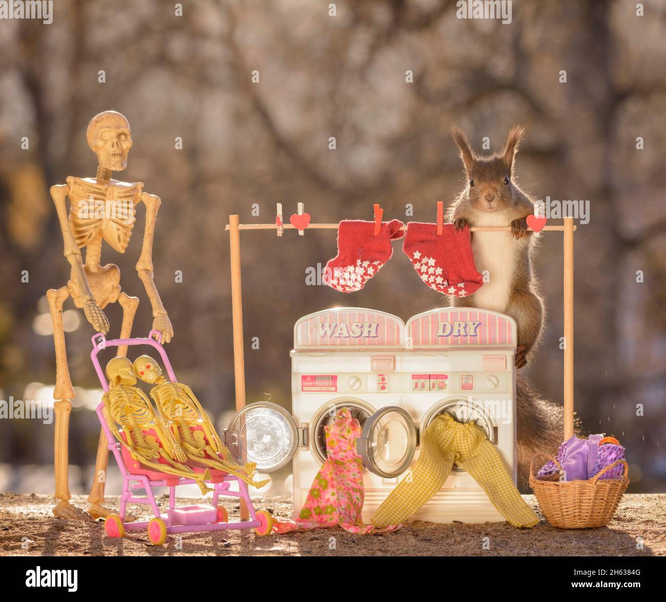 skeleton and red squirrel with a washing machine Stock Photo
